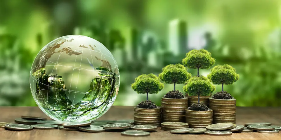 Sustainability with Finance