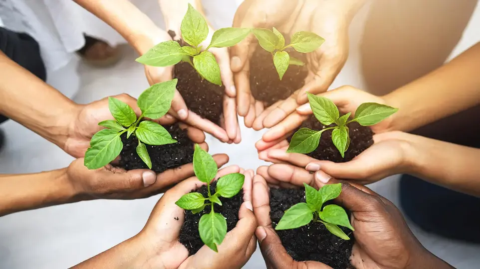 Sustainability with Finance